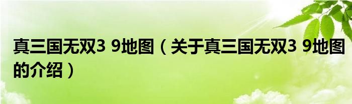 真三国无双3 9地图【关于真三国无双3 9地图的介绍】