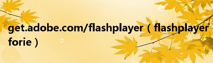 get.adobe.com/flashplayer【flashplayerforie】