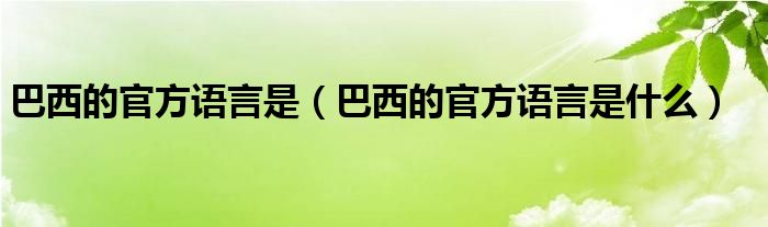 巴西的官方语言是【巴西的官方语言是什么】