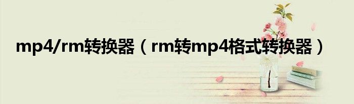 mp4/rm转换器【rm转mp4格式转换器】