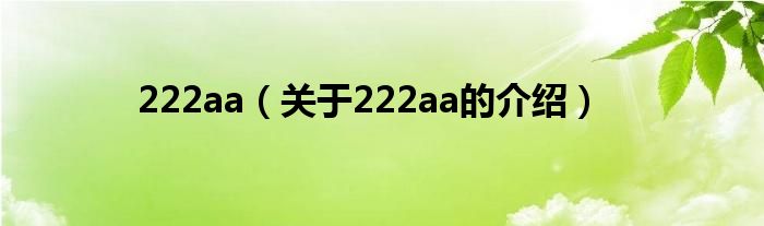 222aa【关于222aa的介绍】