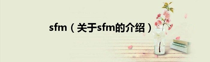sfm【关于sfm的介绍】