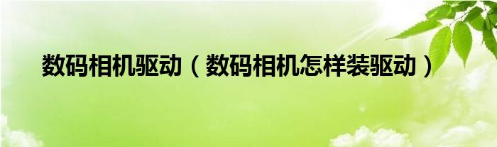 数码相机驱动【数码相机怎样装驱动】