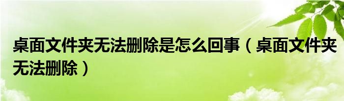 桌面文件夹无法删除是怎么回事【桌面文件夹无法删除】