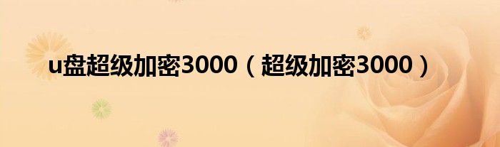 u盘超级加密3000【超级加密3000】