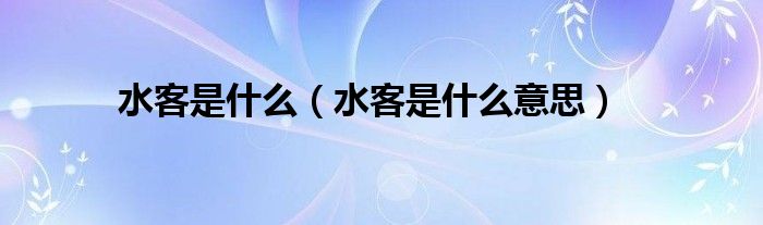 水客是什么【水客是什么意思】