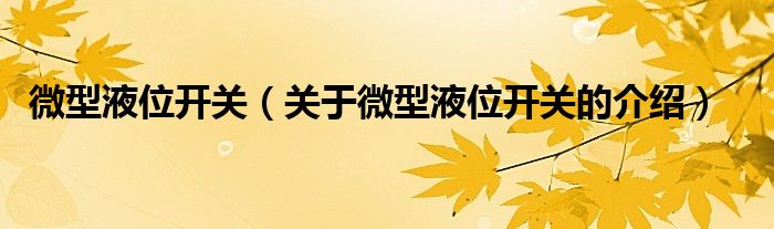 微型液位开关【关于微型液位开关的介绍】