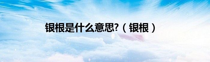 银根是什么意思?【银根】