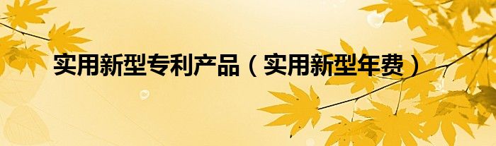 实用新型专利产品【实用新型年费】