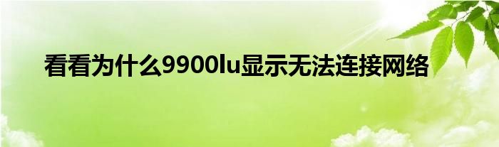 看看为什么9900lu显示无法连接网络