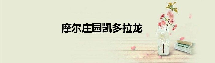 摩尔庄园凯多拉龙