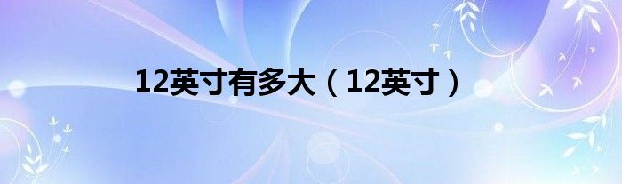 12英寸有多大【12英寸】