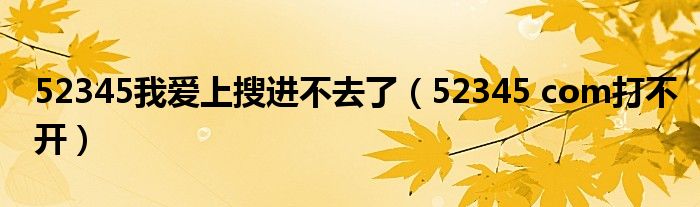 52345我爱上搜进不去了【52345 com打不开】
