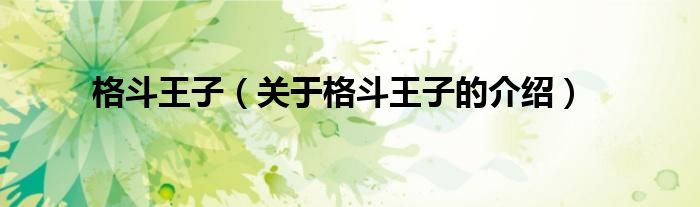 格斗王子【关于格斗王子的介绍】