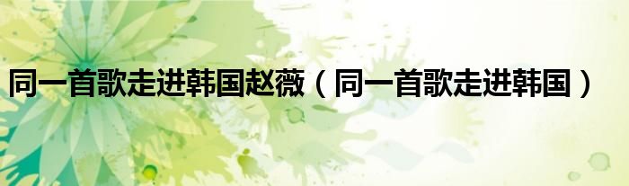 同一首歌走进韩国赵薇【同一首歌走进韩国】