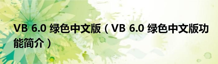 VB 6.0 绿色中文版【VB 6.0 绿色中文版功能简介】