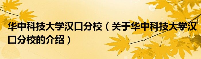 华中科技大学汉口分校【关于华中科技大学汉口分校的介绍】