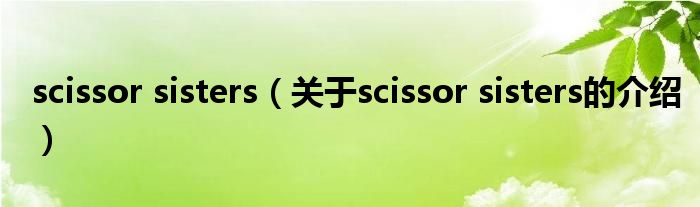 scissor sisters【关于scissor sisters的介绍】