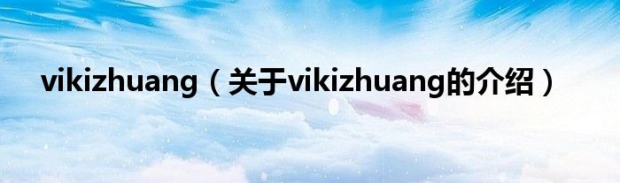 vikizhuang【关于vikizhuang的介绍】