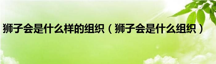 狮子会是什么样的组织【狮子会是什么组织】