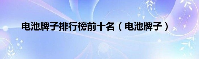 电池牌子排行榜前十名【电池牌子】