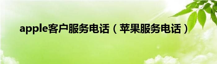 apple客户服务电话【苹果服务电话】