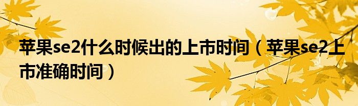 苹果se2什么时候出的上市时间【苹果se2上市准确时间】