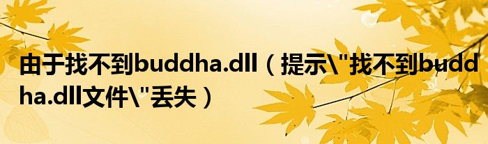 由于找不到buddha.dll【提示"找不到buddha.dll文件"丢失】