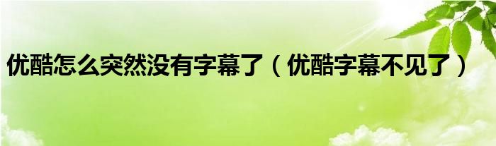 优酷怎么突然没有字幕了【优酷字幕不见了】