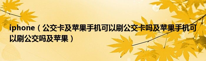 iphone【公交卡及苹果手机可以刷公交卡吗及苹果手机可以刷公交吗及苹果】