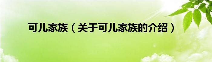 可儿家族【关于可儿家族的介绍】