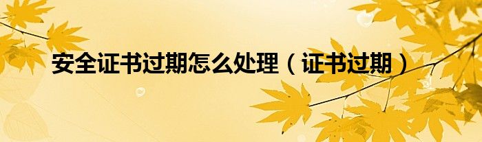 安全证书过期怎么处理【证书过期】