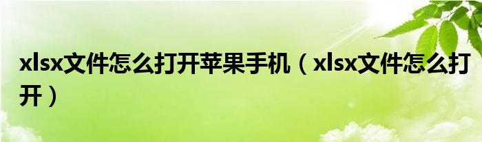 xlsx文件怎么打开苹果手机【xlsx文件怎么打开】