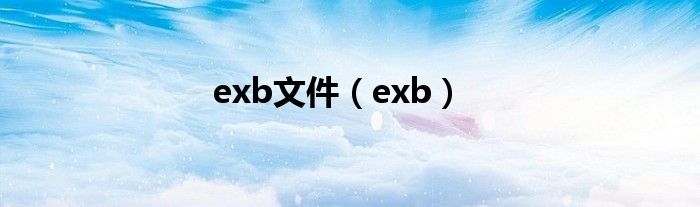 exb文件【exb】