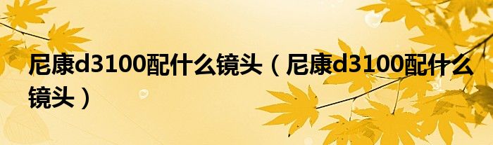 尼康d3100配什么镜头【尼康d3100配什么镜头】