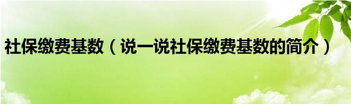 社保缴费基数【说一说社保缴费基数的简介】