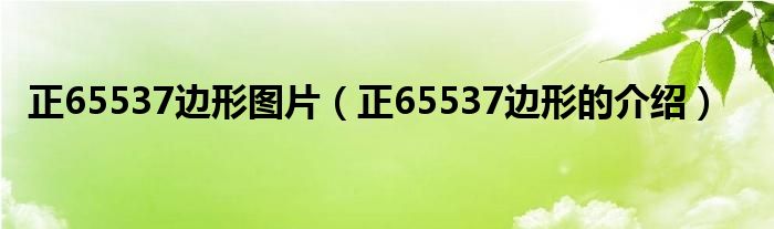 正65537边形图片【正65537边形的介绍】