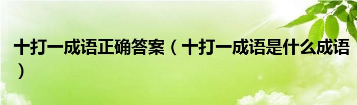 十打一成语正确答案【十打一成语是什么成语】