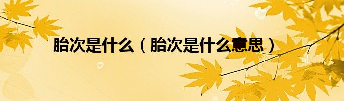 胎次是什么【胎次是什么意思】
