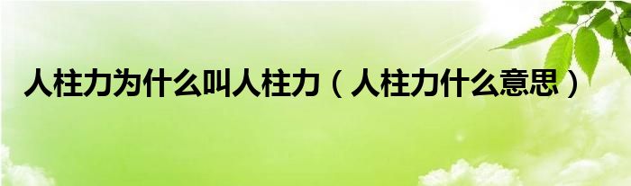 人柱力为什么叫人柱力【人柱力什么意思】