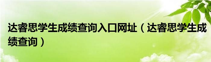 达睿思学生成绩查询入口网址【达睿思学生成绩查询】