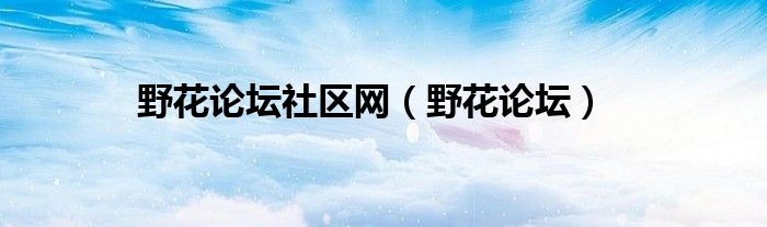 野花论坛社区网【野花论坛】