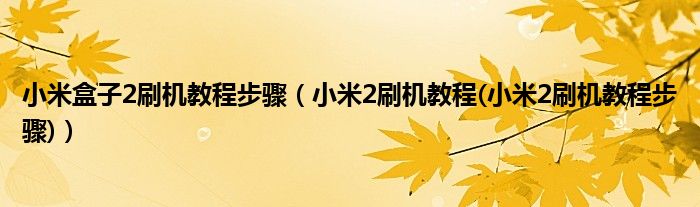 小米盒子2刷机教程步骤【小米2刷机教程(小米2刷机教程步骤)】