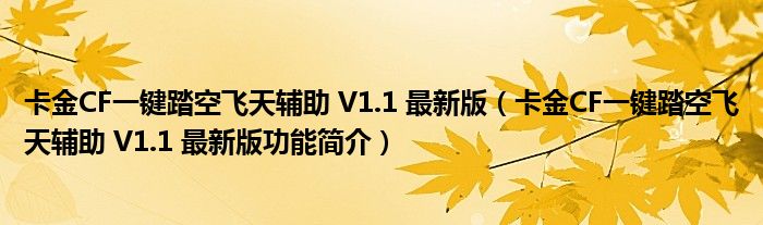 卡金CF一键踏空飞天辅助 V1.1 最新版【卡金CF一键踏空飞天辅助 V1.1 最新版功能简介】