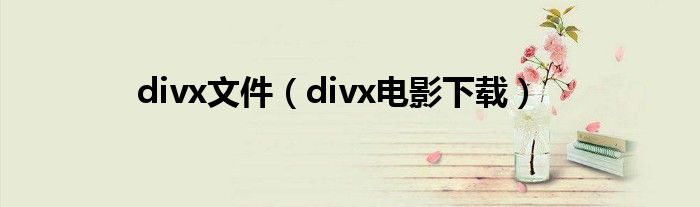 divx文件【divx电影下载】