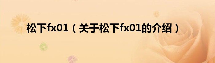 松下fx01【关于松下fx01的介绍】