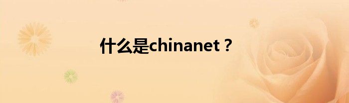 什么是chinanet？