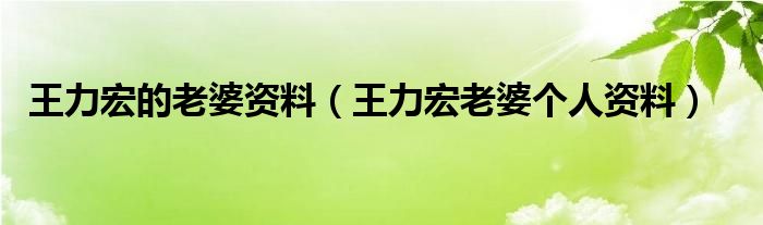 王力宏的老婆资料【王力宏老婆个人资料】