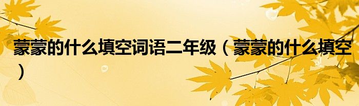 蒙蒙的什么填空词语二年级【蒙蒙的什么填空】