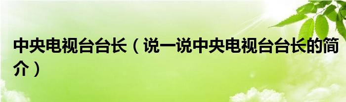 中央电视台台长【说一说中央电视台台长的简介】